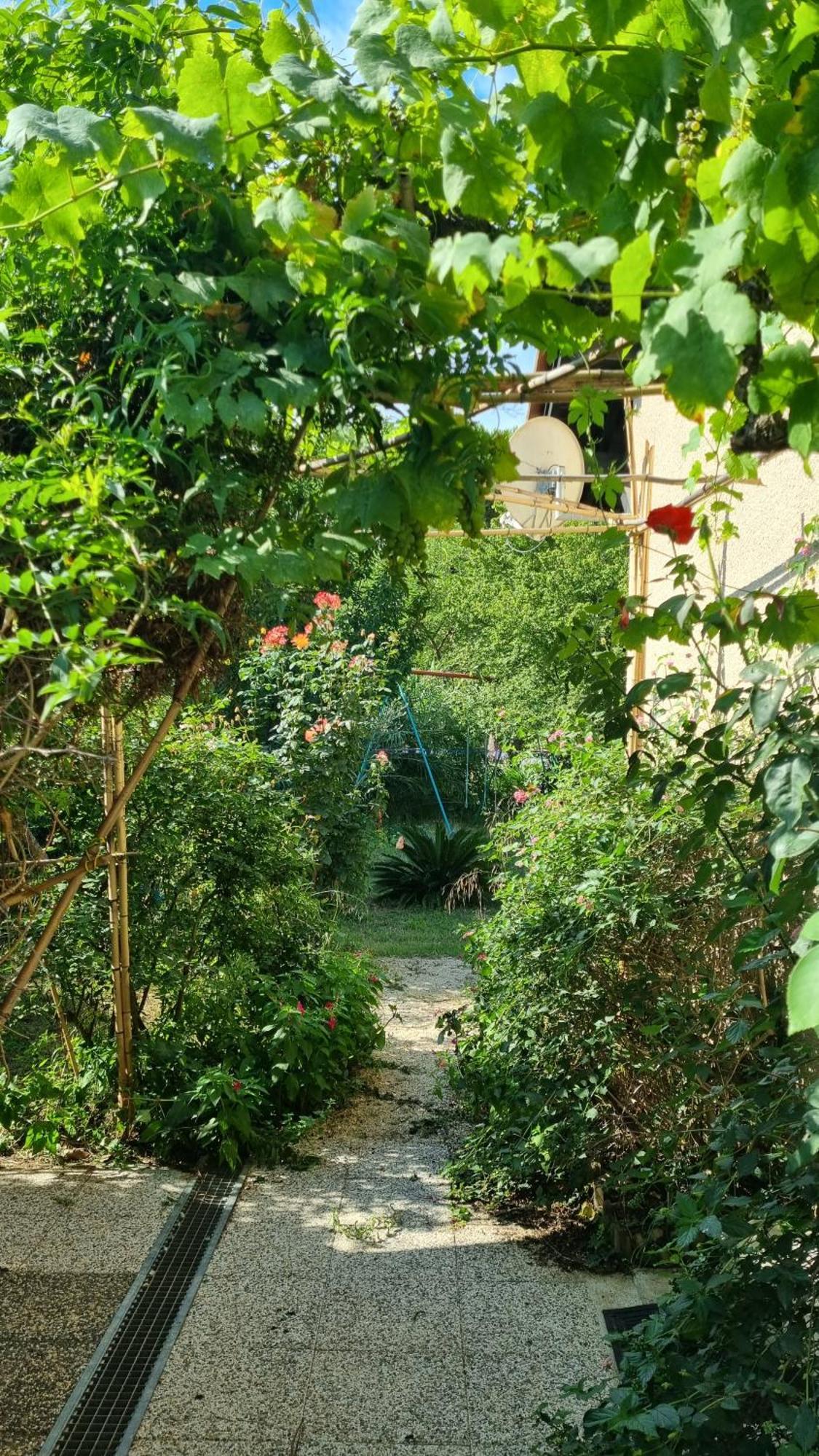 Villa El Correc Laroque-des-Alberes Экстерьер фото